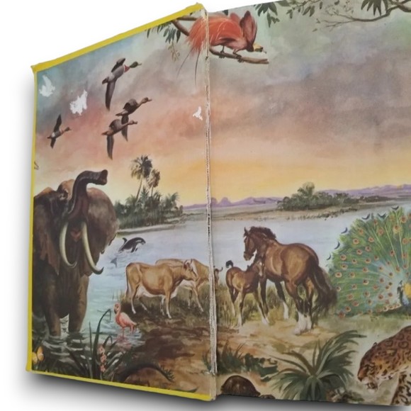 Childrens Guide To Knowledge by Leonard J. Buchner HC 60s Parents' Magazine - Picture 5 of 9